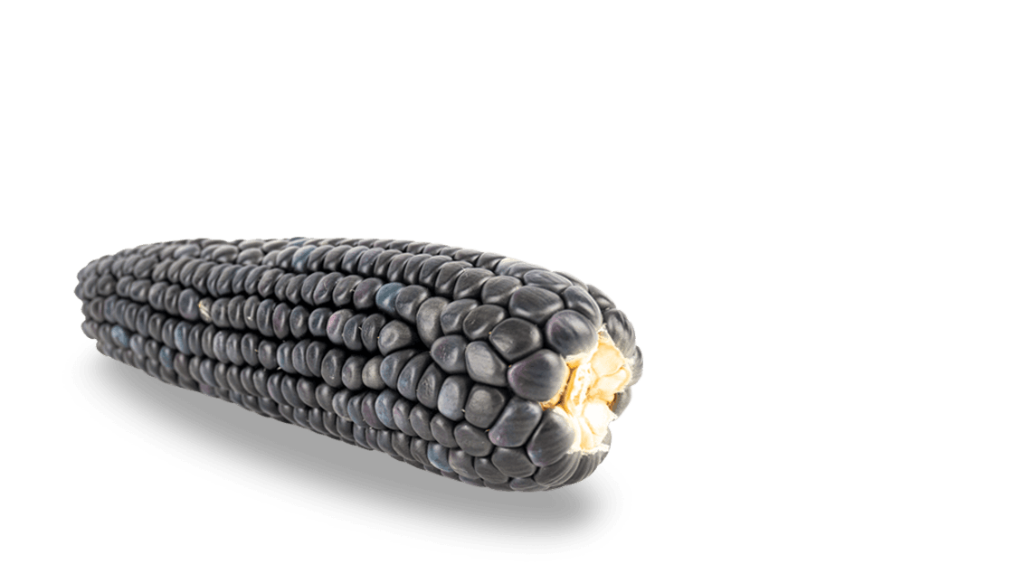 Elote azul